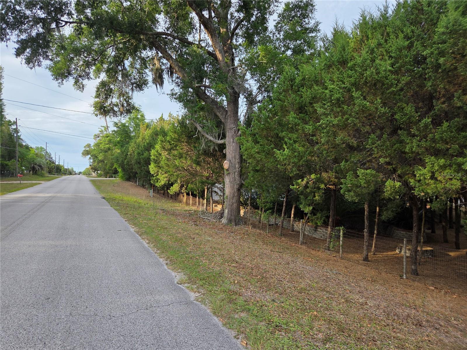 421 MARGARET ST, BRONSON, FL — photo 78