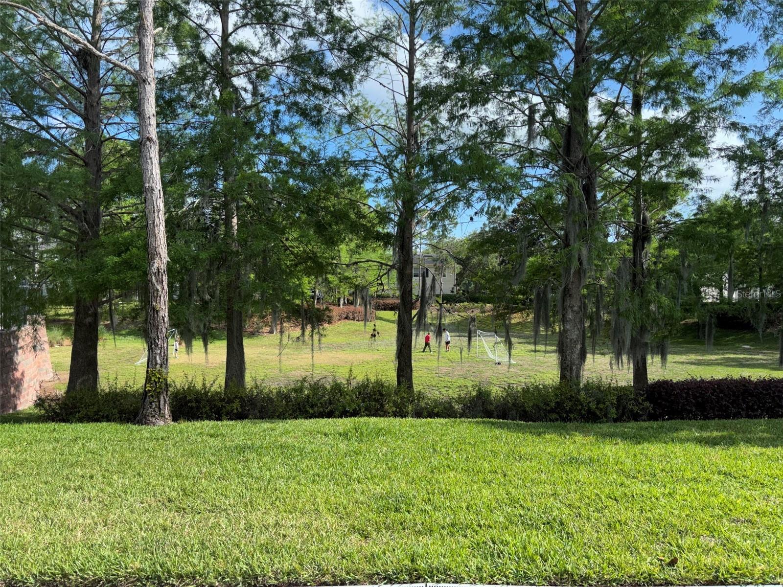 143 SOUTHERN PECAN CIR #206, WINTER GARDEN, FL — photo 19