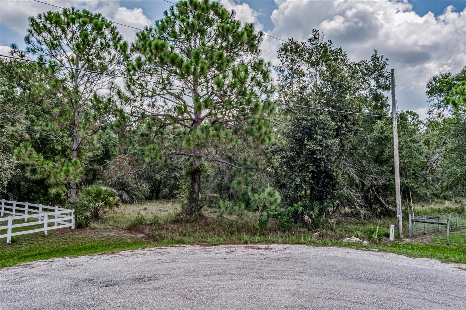 401 INDIAN MEADOW CT, WIMAUMA, FL — photo 3