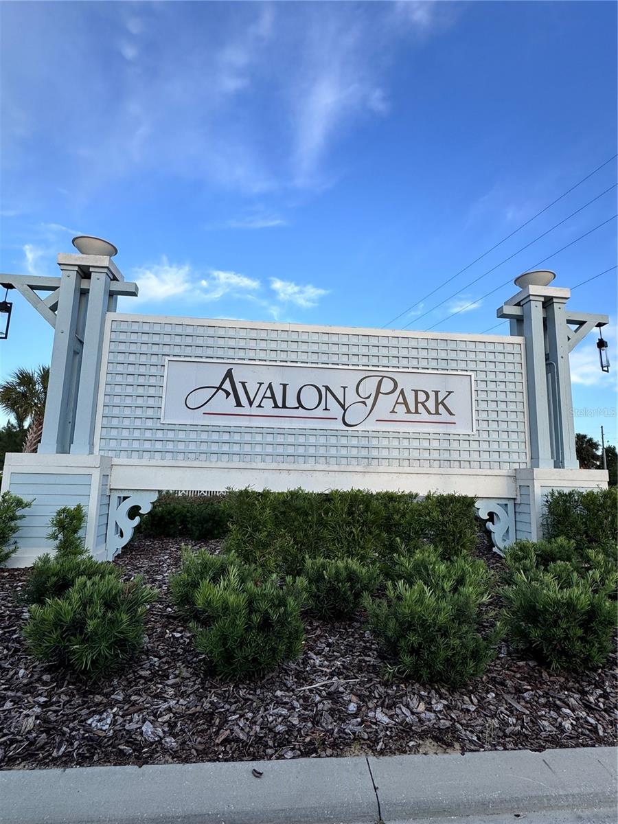 2531 AVALON PARK BLVD, TAVARES, FL — photo 2