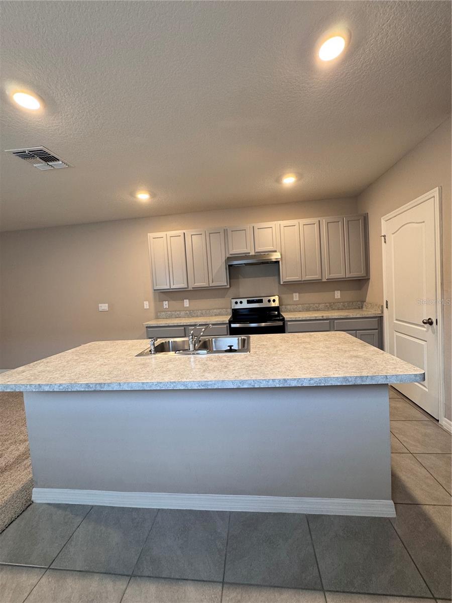 2531 AVALON PARK BLVD, TAVARES, FL — photo 8