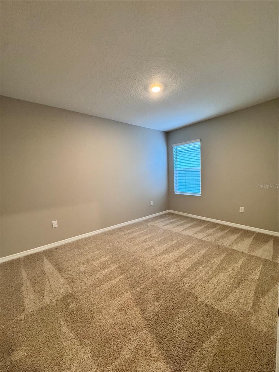 2531 AVALON PARK BLVD, TAVARES, FL — photo 29