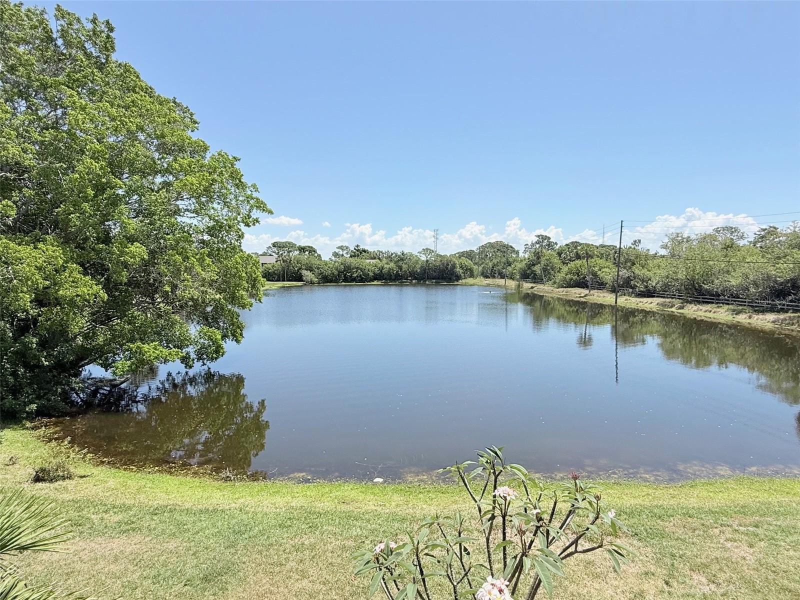 11409 8TH ST N #1506, ST PETERSBURG, FL — photo 2