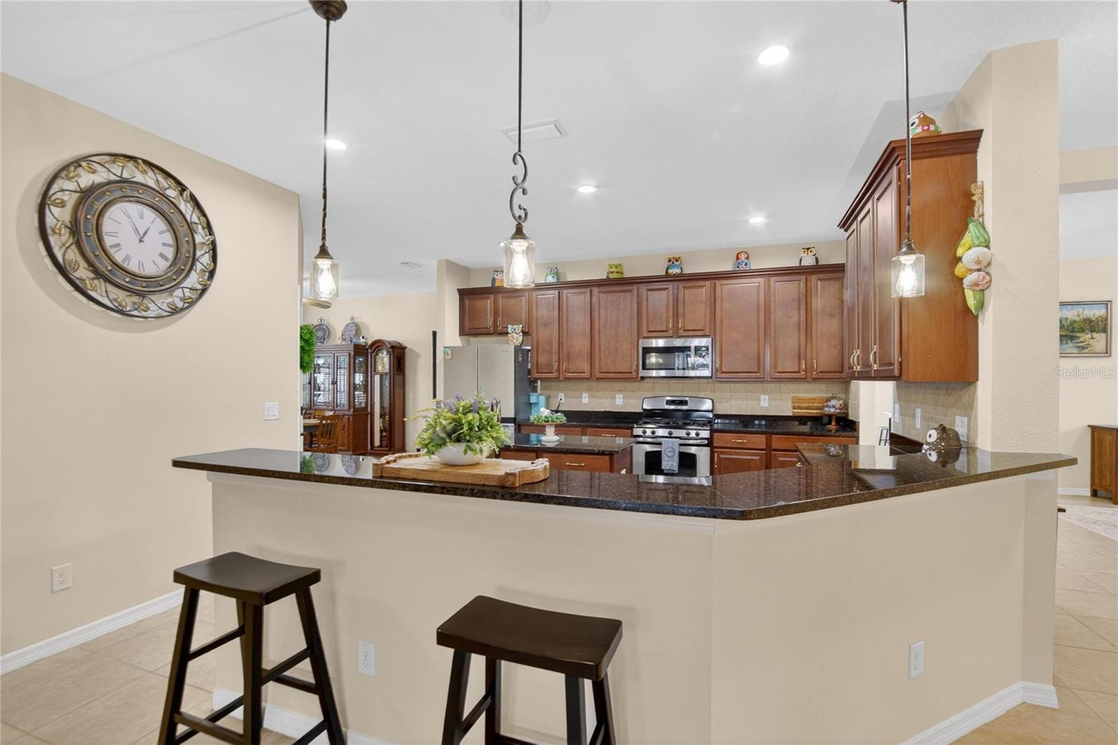 11321 SCRIBNER STATION LN, LITHIA, FL — photo 21