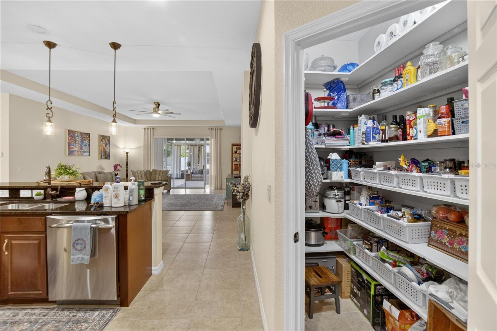 11321 SCRIBNER STATION LN, LITHIA, FL — photo 52