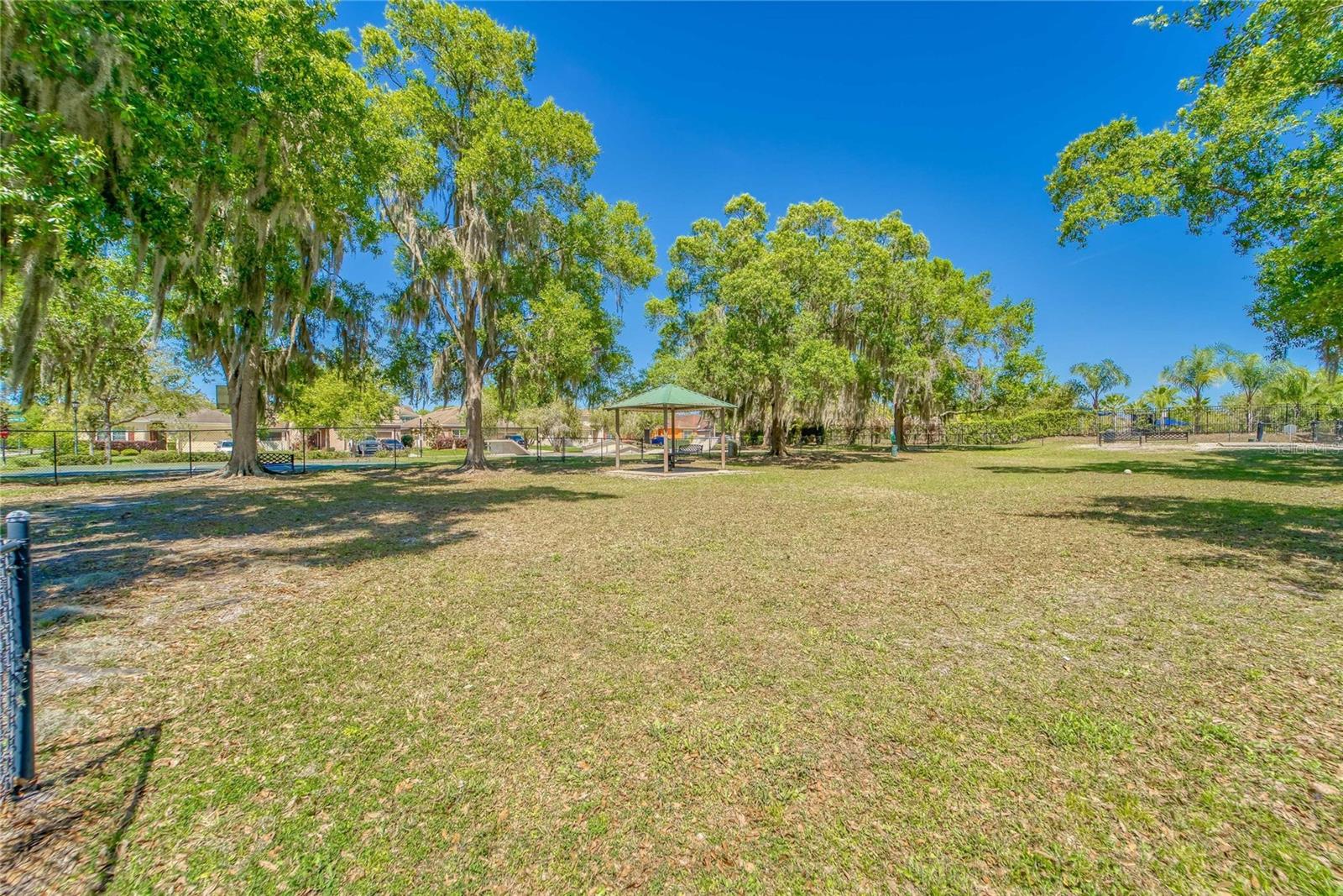 11321 SCRIBNER STATION LN, LITHIA, FL — photo 68