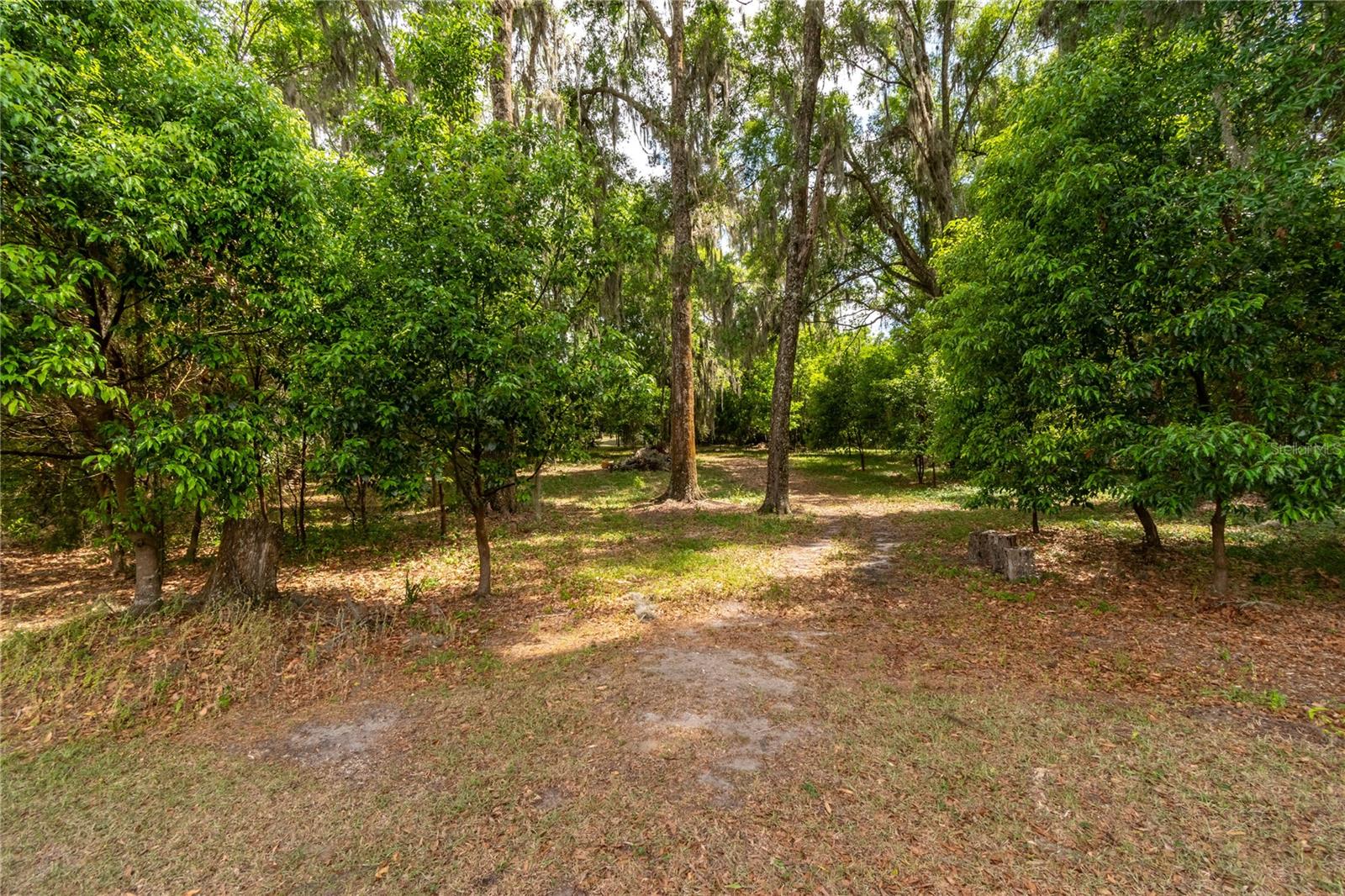 5021 NW 101ST STREET RD, OCALA, FL — photo 65