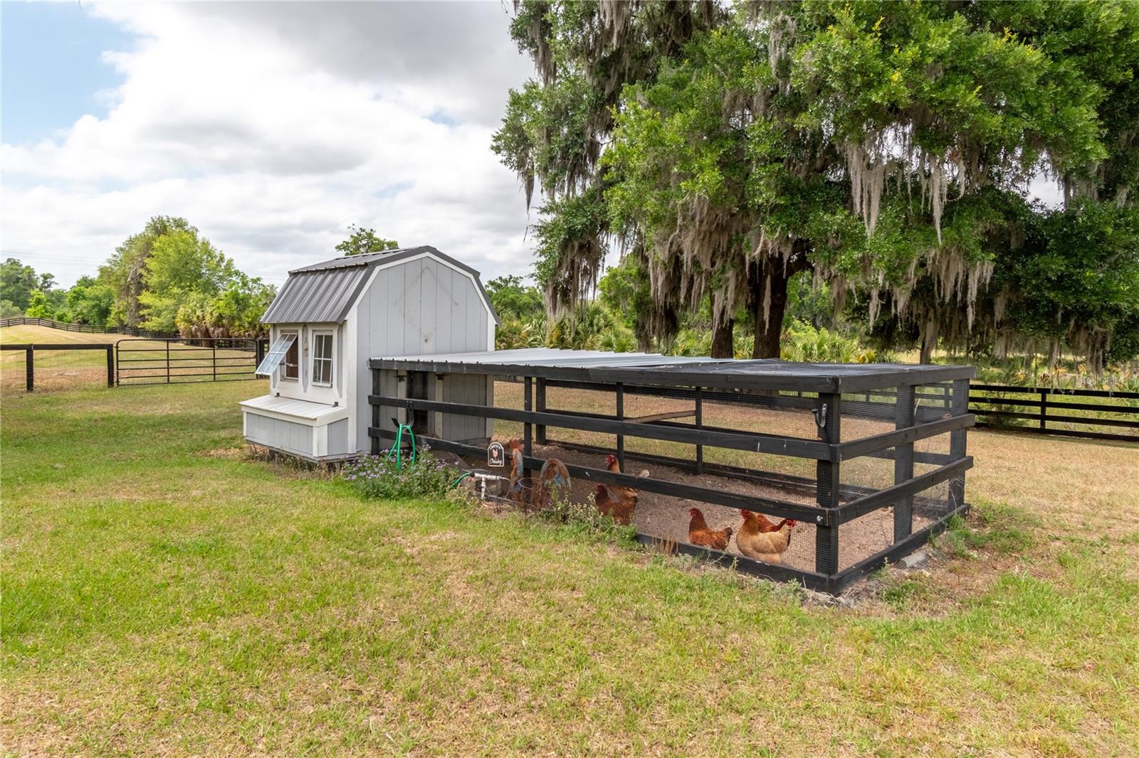 5021 NW 101ST STREET RD, OCALA, FL — photo 67