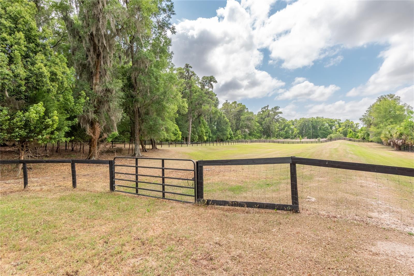 5021 NW 101ST STREET RD, OCALA, FL — photo 69