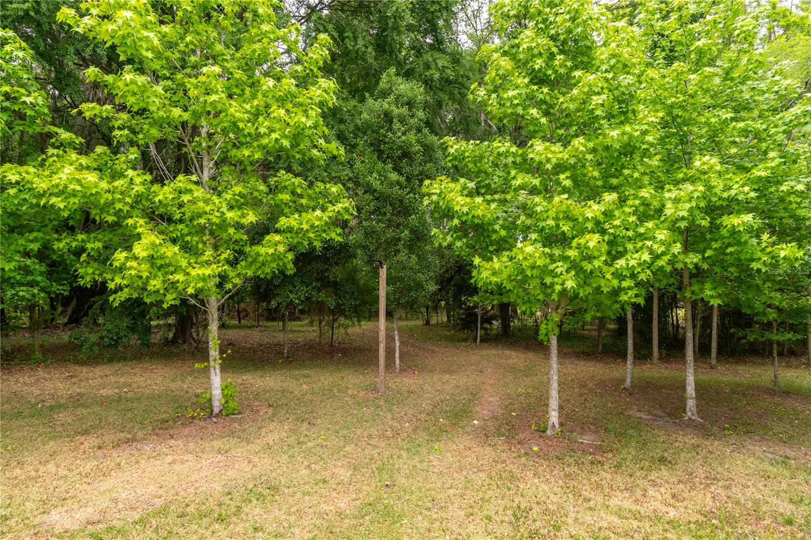 5021 NW 101ST STREET RD, OCALA, FL — photo 70