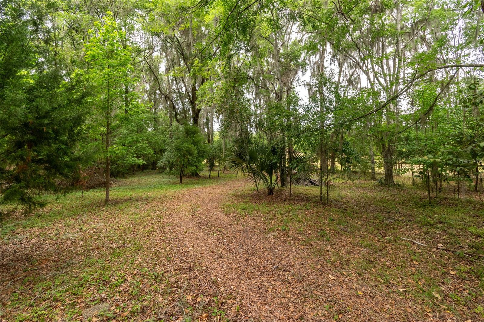 5021 NW 101ST STREET RD, OCALA, FL — photo 71