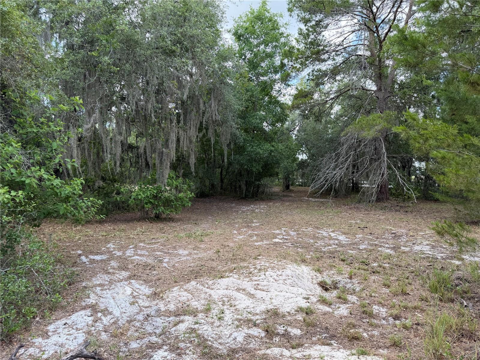 8351 WAKEFORD RD, LAKE WALES, FL — photo 22