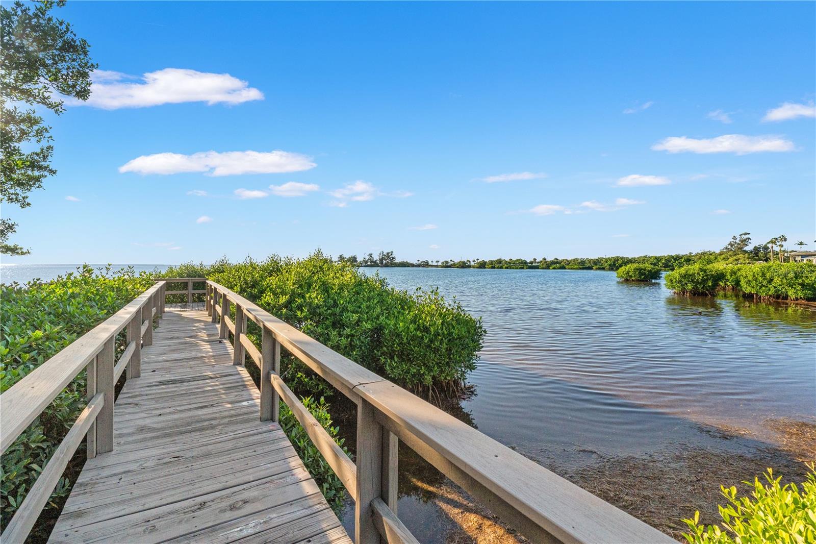 300 S FLORIDA AVE #600F, TARPON SPRINGS, FL — photo 45