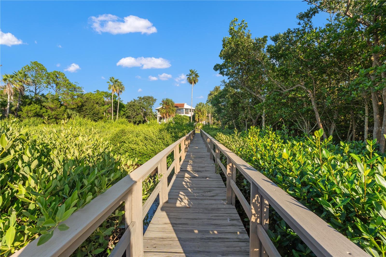 300 S FLORIDA AVE #600F, TARPON SPRINGS, FL — photo 49