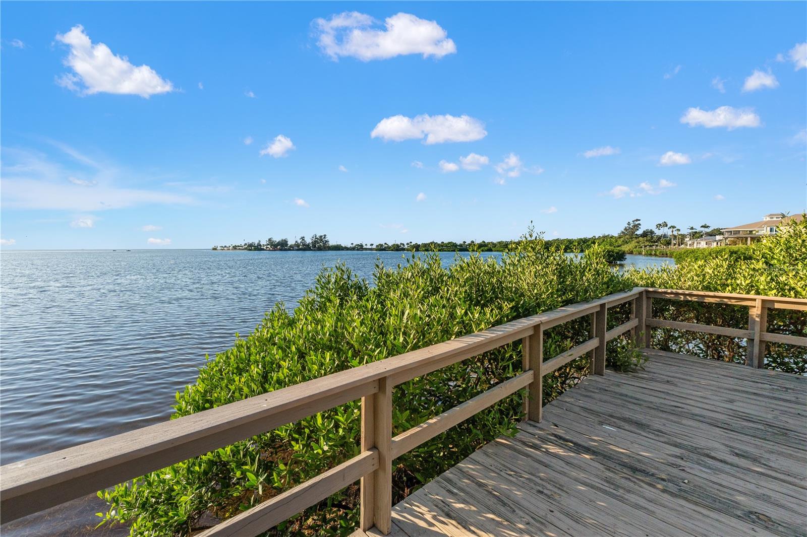 300 S FLORIDA AVE #600F, TARPON SPRINGS, FL — photo 50