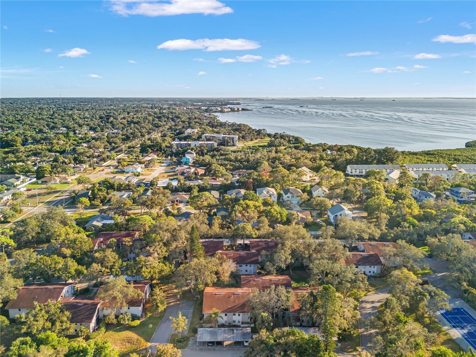 300 S FLORIDA AVE #600F, TARPON SPRINGS, FL — photo 59
