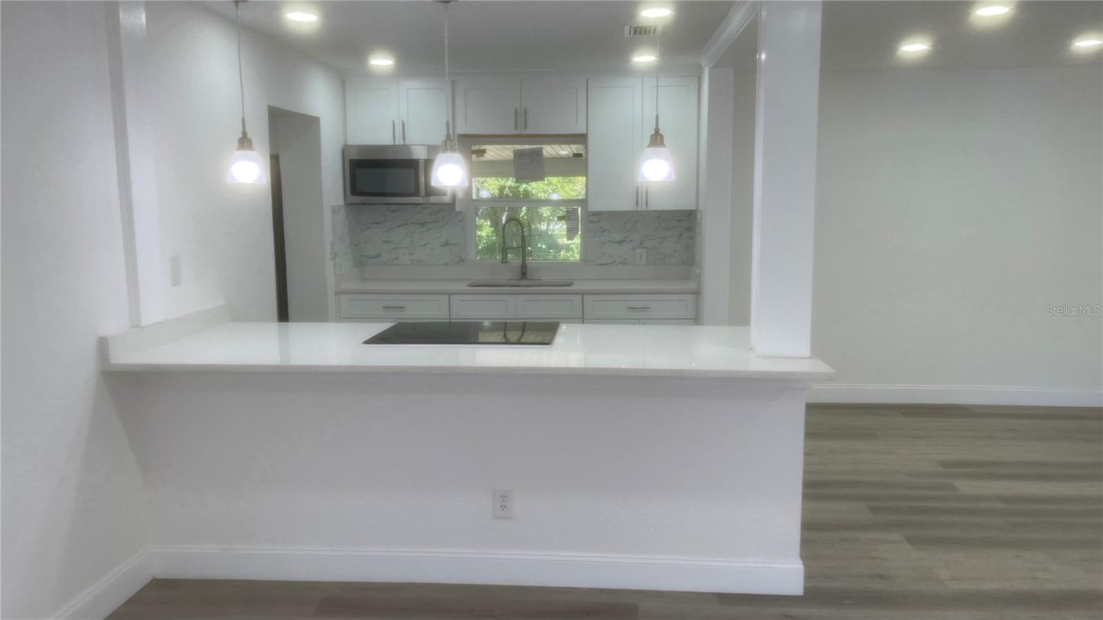 113 W DIVISION ST, WINTER GARDEN, FL — photo 6
