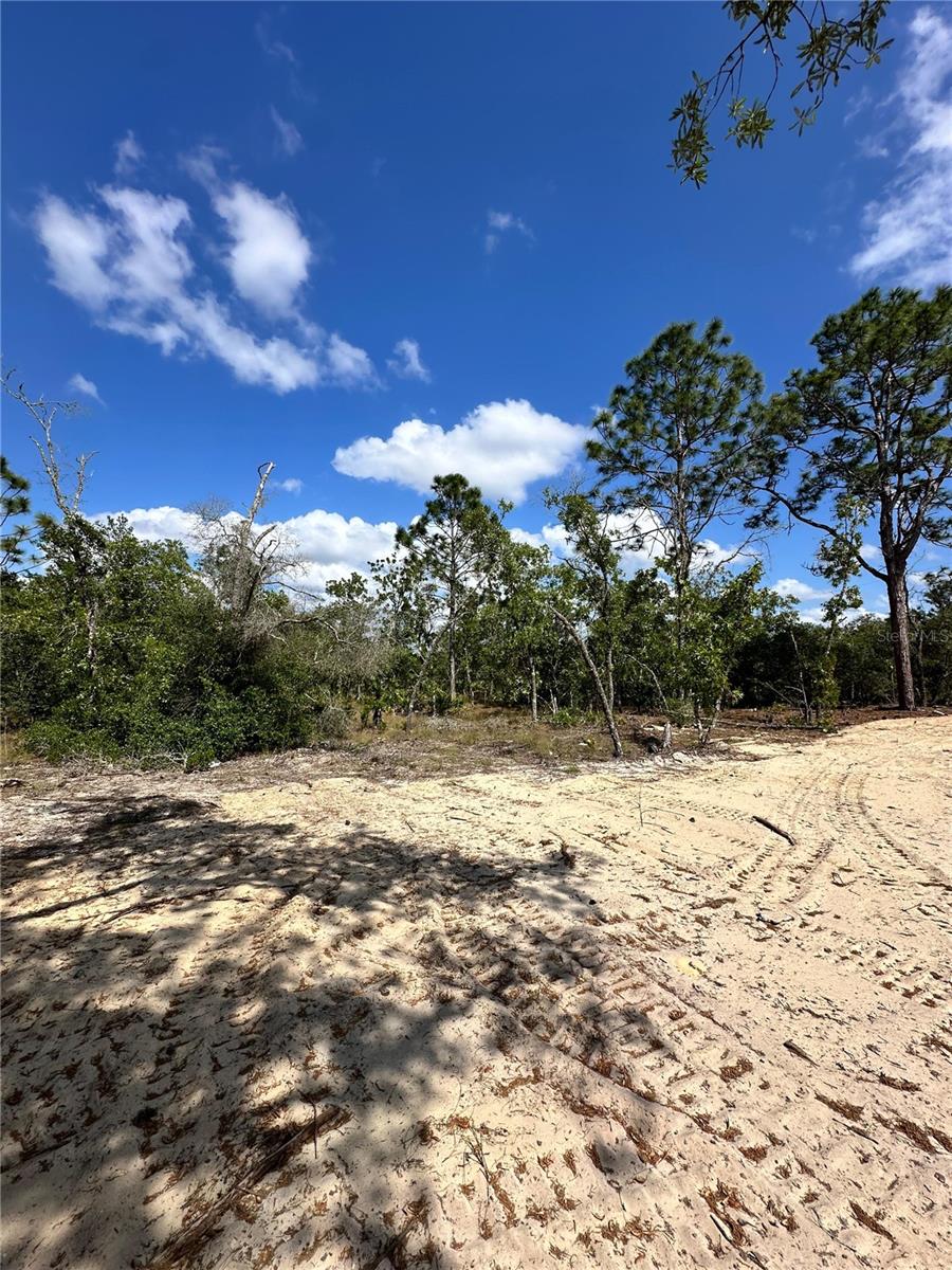 3239 W KIRKWOOD PL, DUNNELLON, FL — photo 2