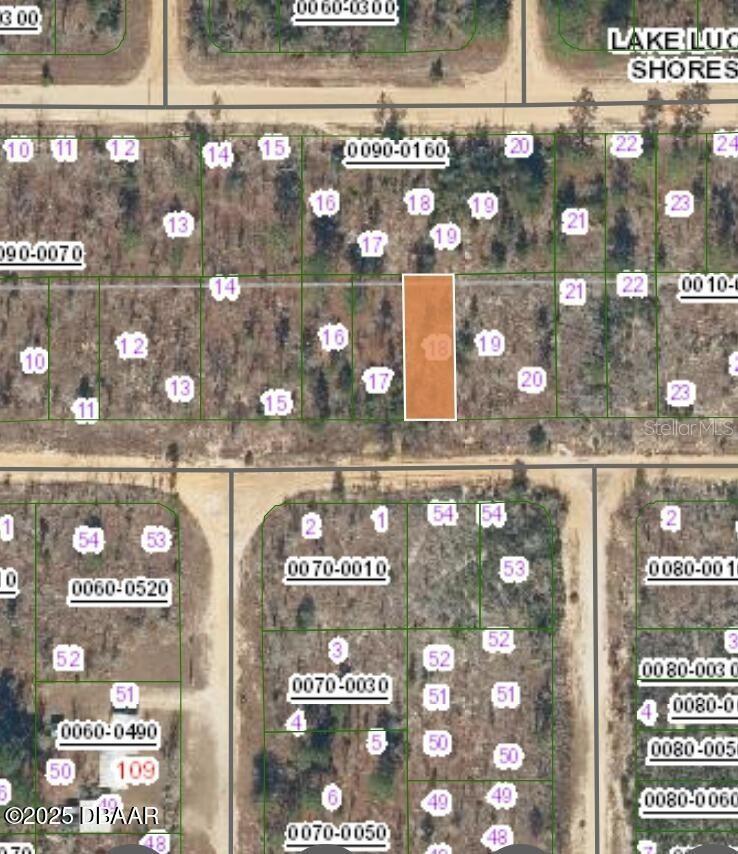 152 1ST AVE, INTERLACHEN, FL — photo 3
