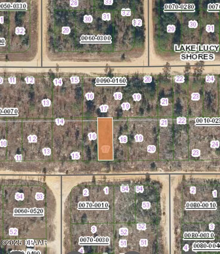 154 1ST AVE, INTERLACHEN, FL — photo 3