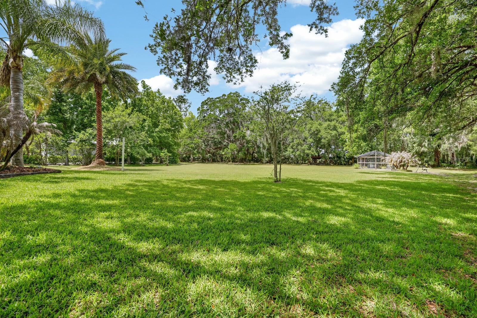 94 SMITH LN, BUNNELL, FL — photo 67
