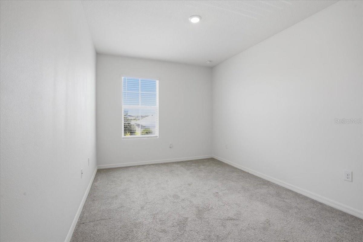 3126 SUNCOAST BLEND DR, ODESSA, FL — photo 36