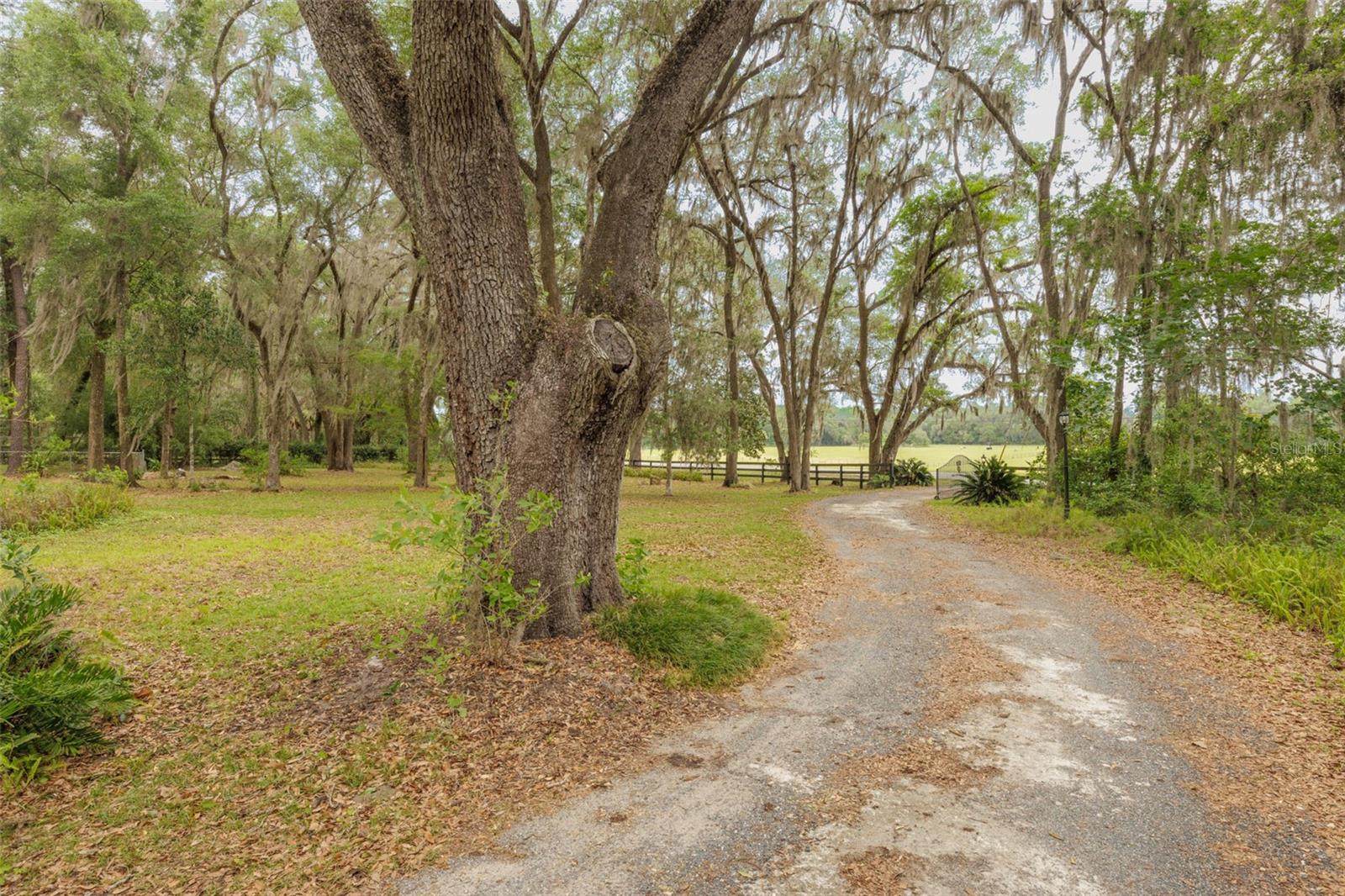 818 NW 202ND ST, NEWBERRY, FL — photo 9