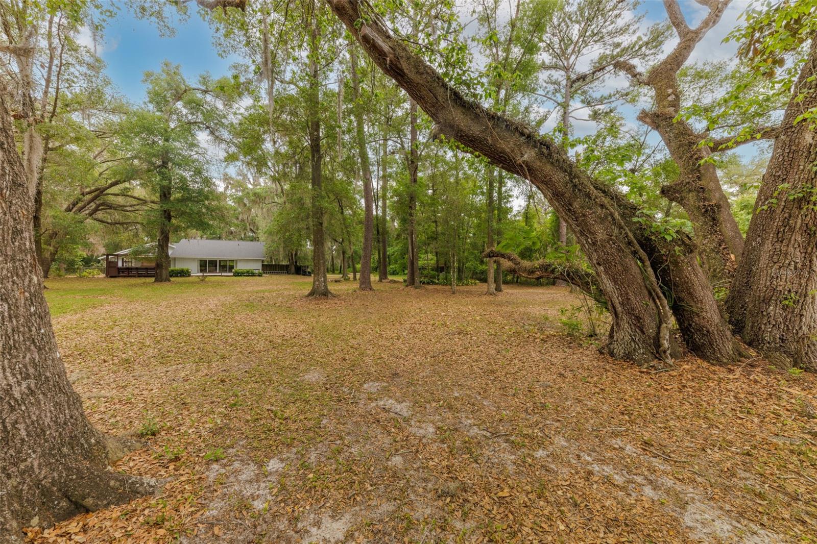 818 NW 202ND ST, NEWBERRY, FL — photo 36