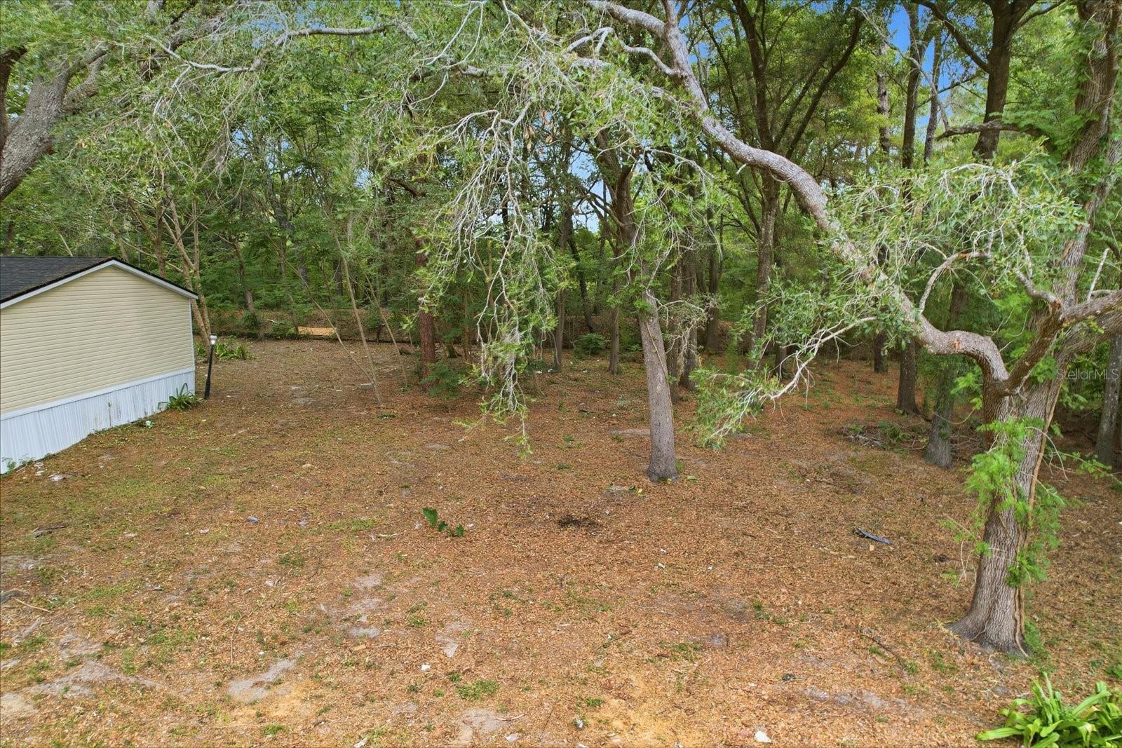 2565 E NORTH ST, INVERNESS, FL — photo 33