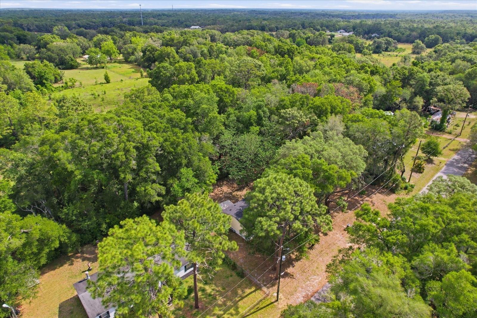 2565 E NORTH ST, INVERNESS, FL — photo 42
