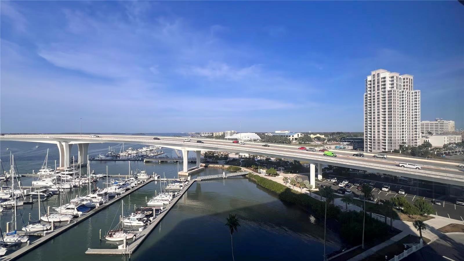 100 PIERCE ST #1001, CLEARWATER, FL — photo 29