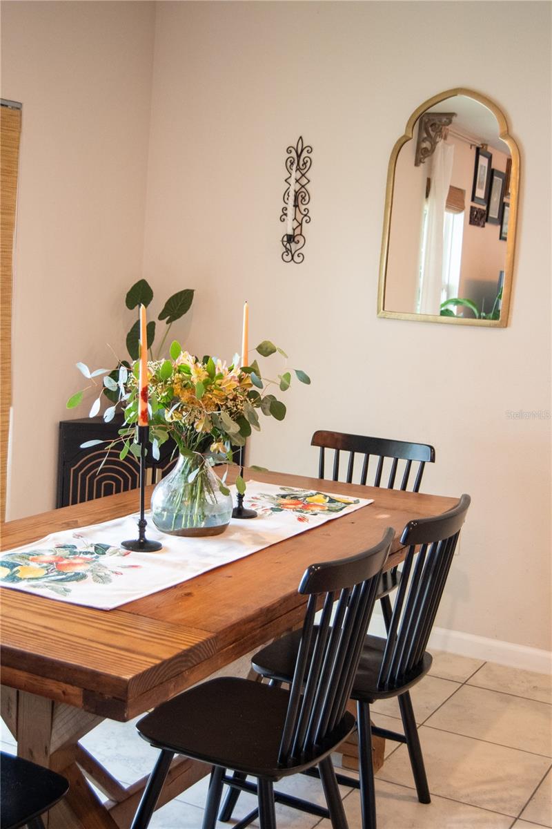 255 AUGUST FERN LOOP, MOUNT DORA, FL — photo 23