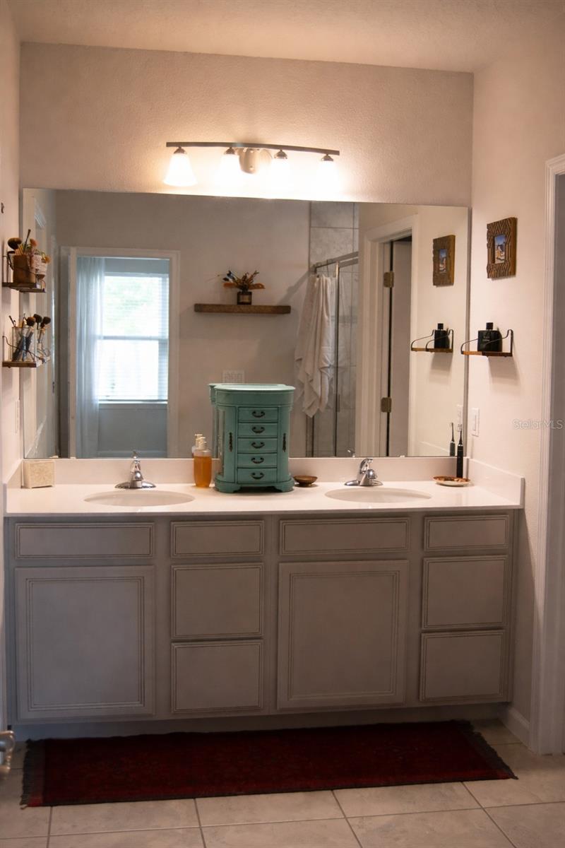 255 AUGUST FERN LOOP, MOUNT DORA, FL — photo 30