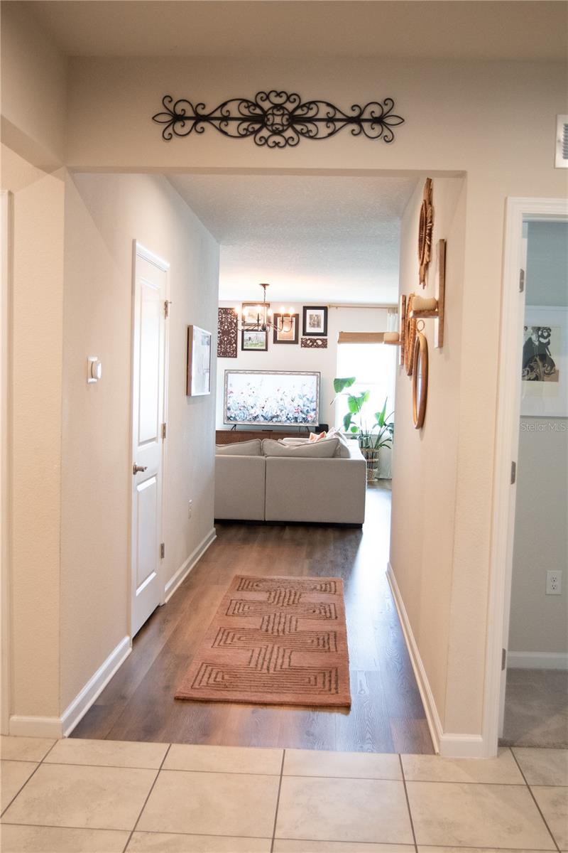 255 AUGUST FERN LOOP, MOUNT DORA, FL — photo 31