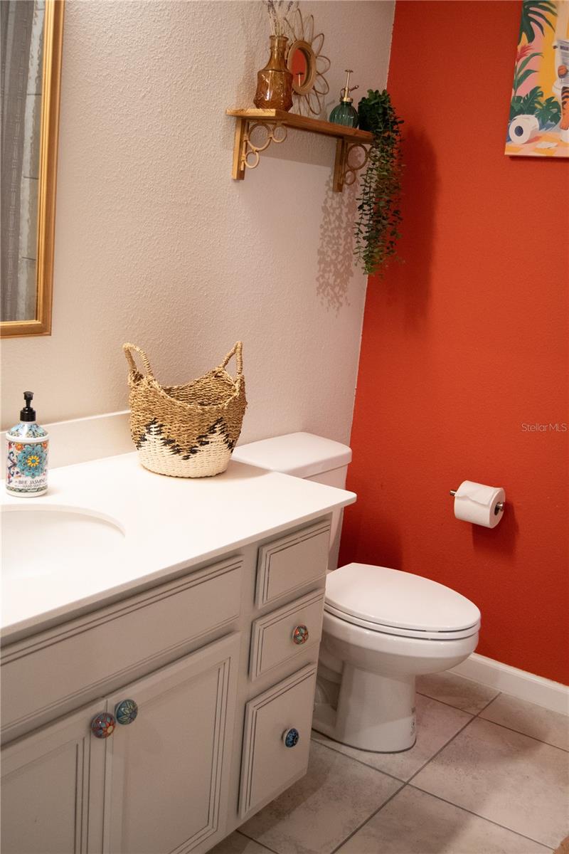 255 AUGUST FERN LOOP, MOUNT DORA, FL — photo 41