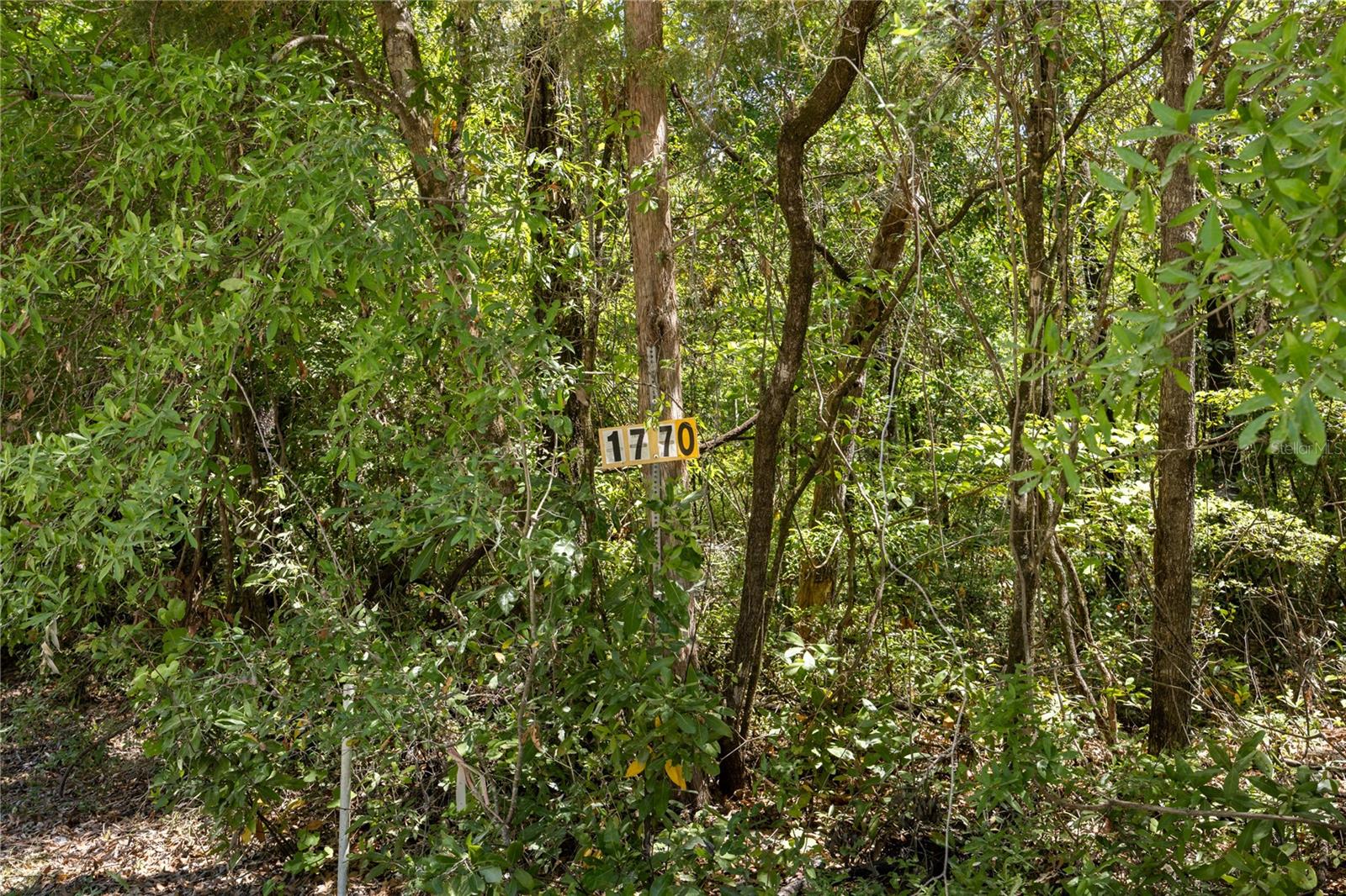 SW LONCALA LOOP, FORT WHITE, FL — photo 3