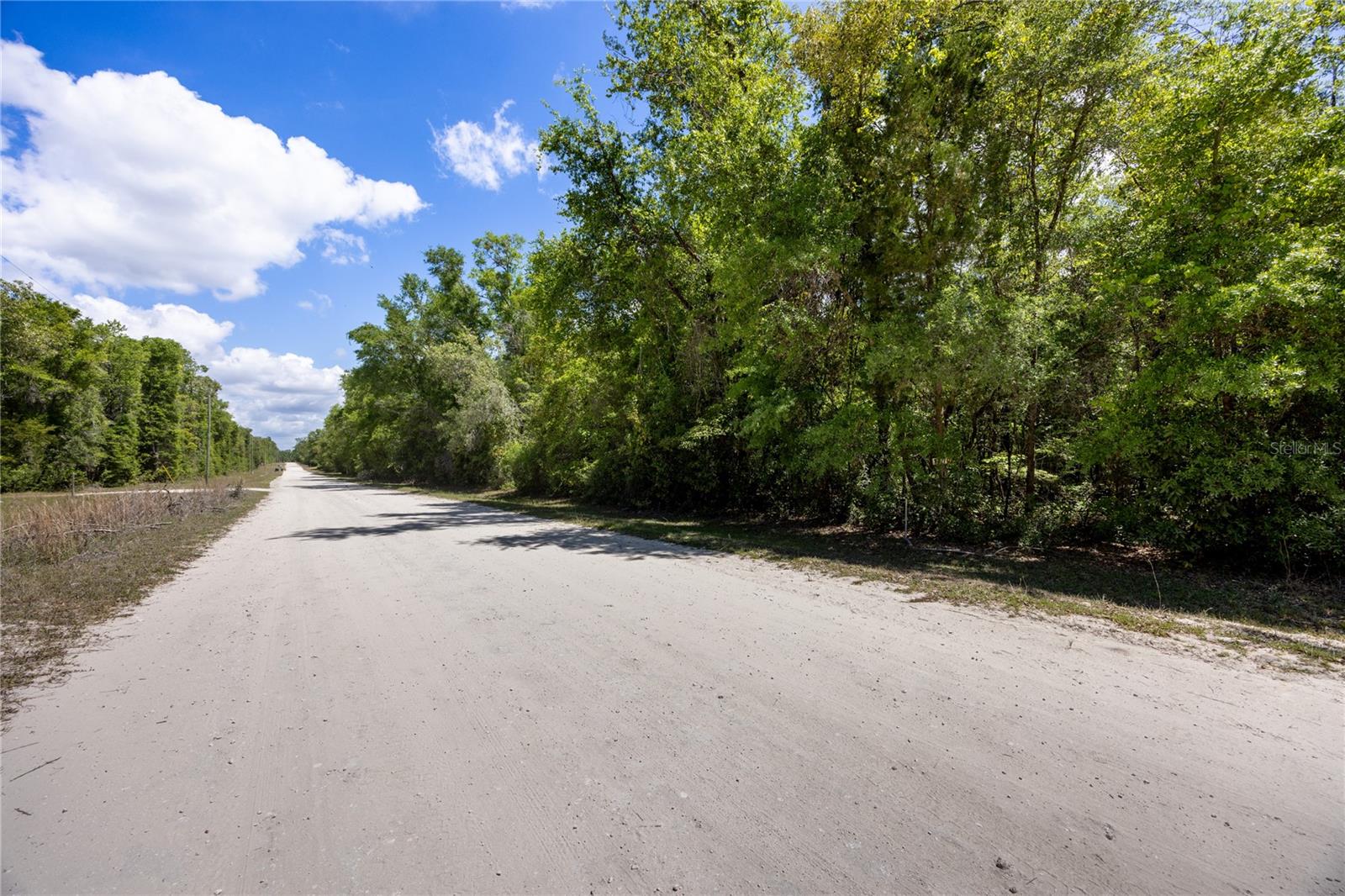 SW LONCALA LOOP, FORT WHITE, FL — photo 4