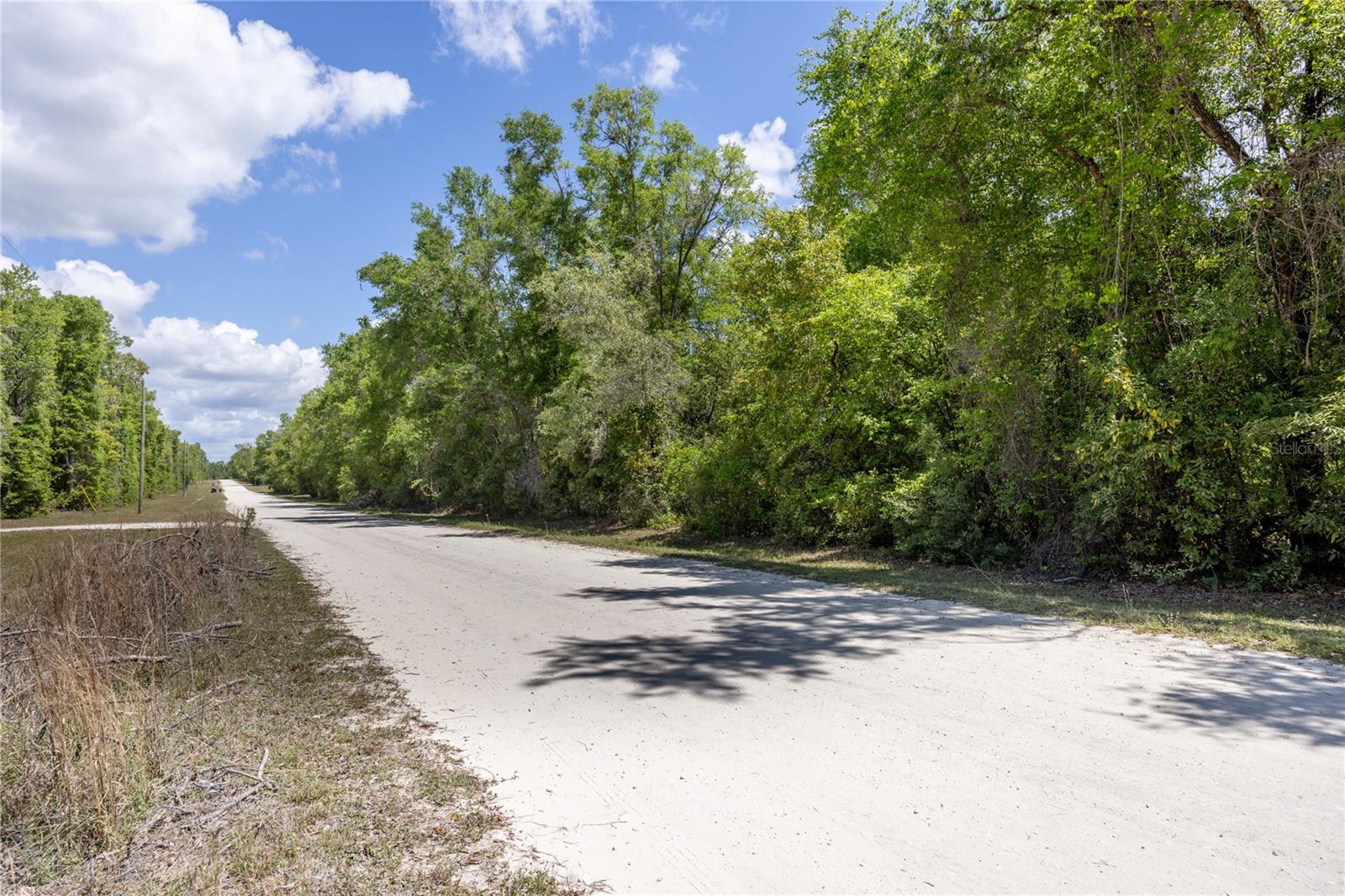 SW LONCALA LOOP, FORT WHITE, FL — photo 5