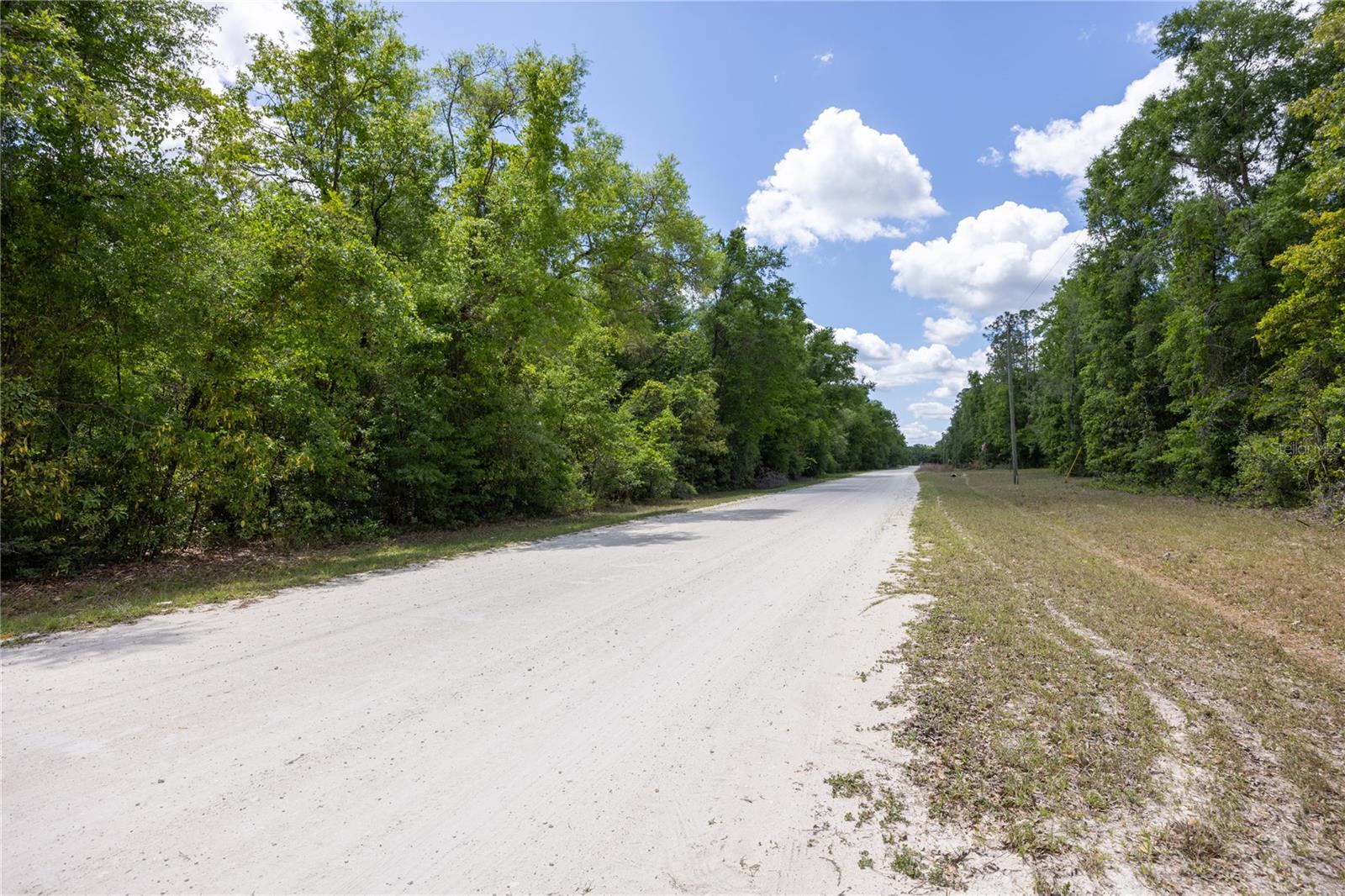 SW LONCALA LOOP, FORT WHITE, FL — photo 8