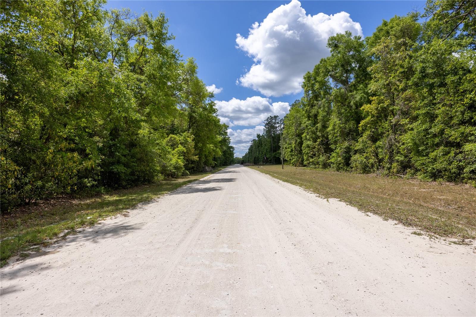 SW LONCALA LOOP, FORT WHITE, FL — photo 9
