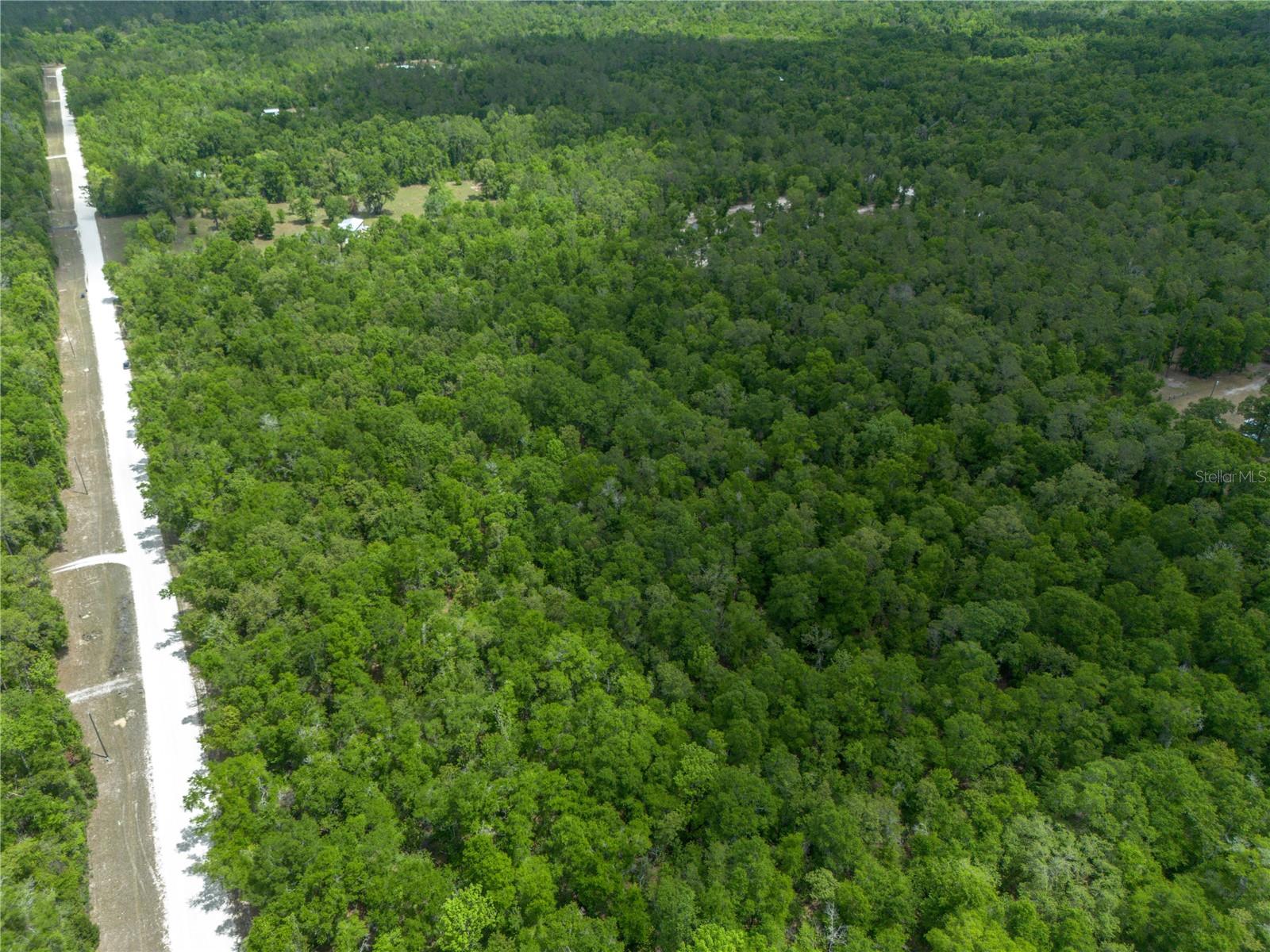 SW LONCALA LOOP, FORT WHITE, FL — photo 14