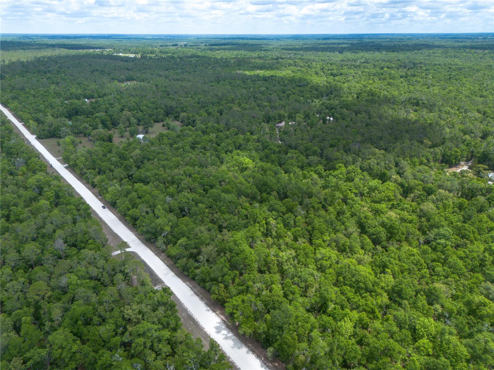 SW LONCALA LOOP, FORT WHITE, FL — photo 15