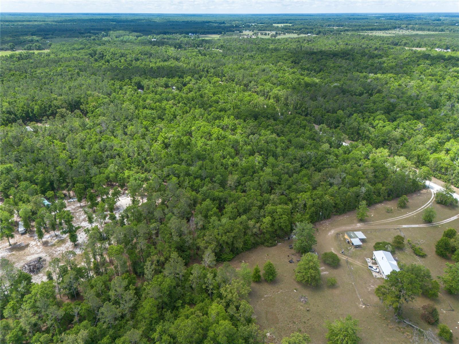SW LONCALA LOOP, FORT WHITE, FL — photo 19
