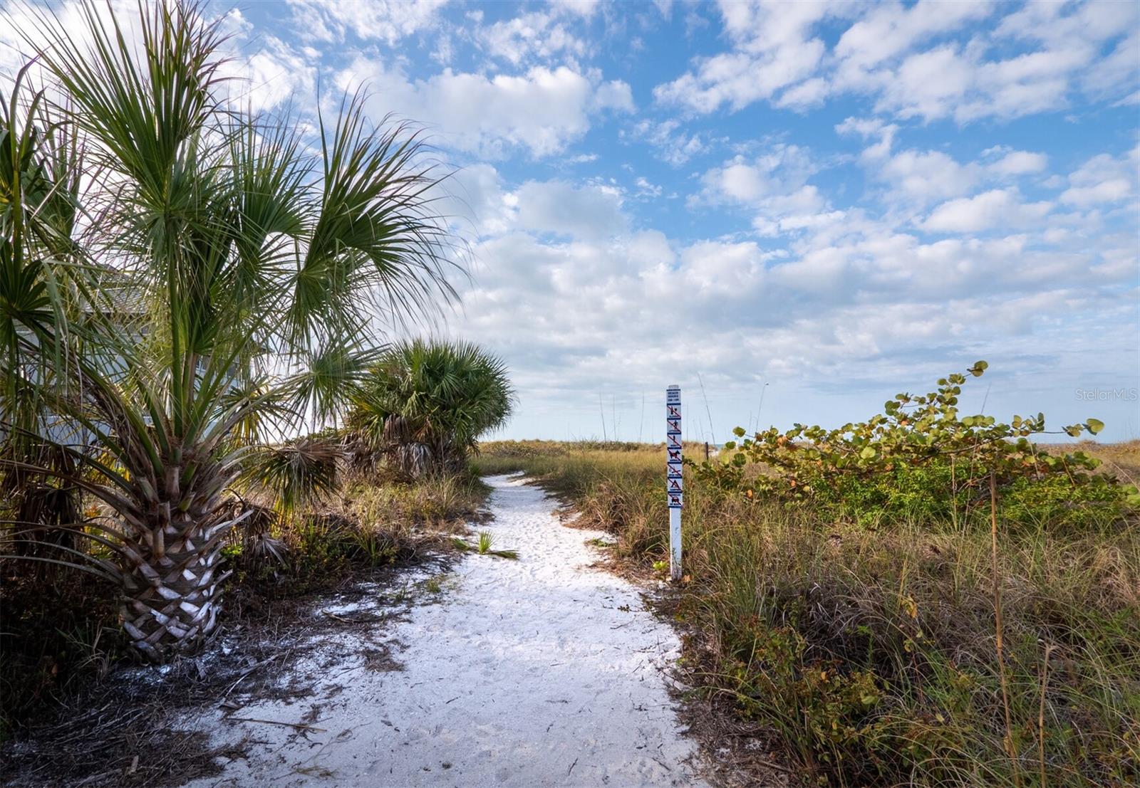 450 FIREHOUSE CT, LONGBOAT KEY, FL — photo 23
