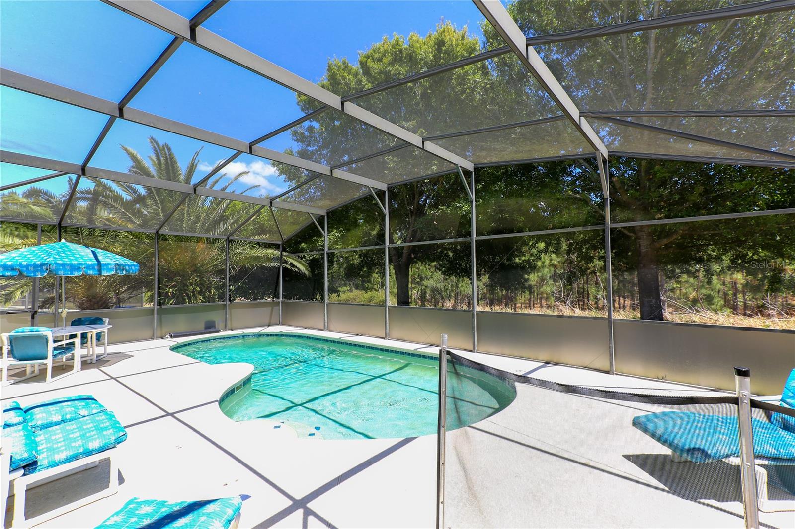 16801 SUNRISE VISTA DR, CLERMONT, FL — photo 25