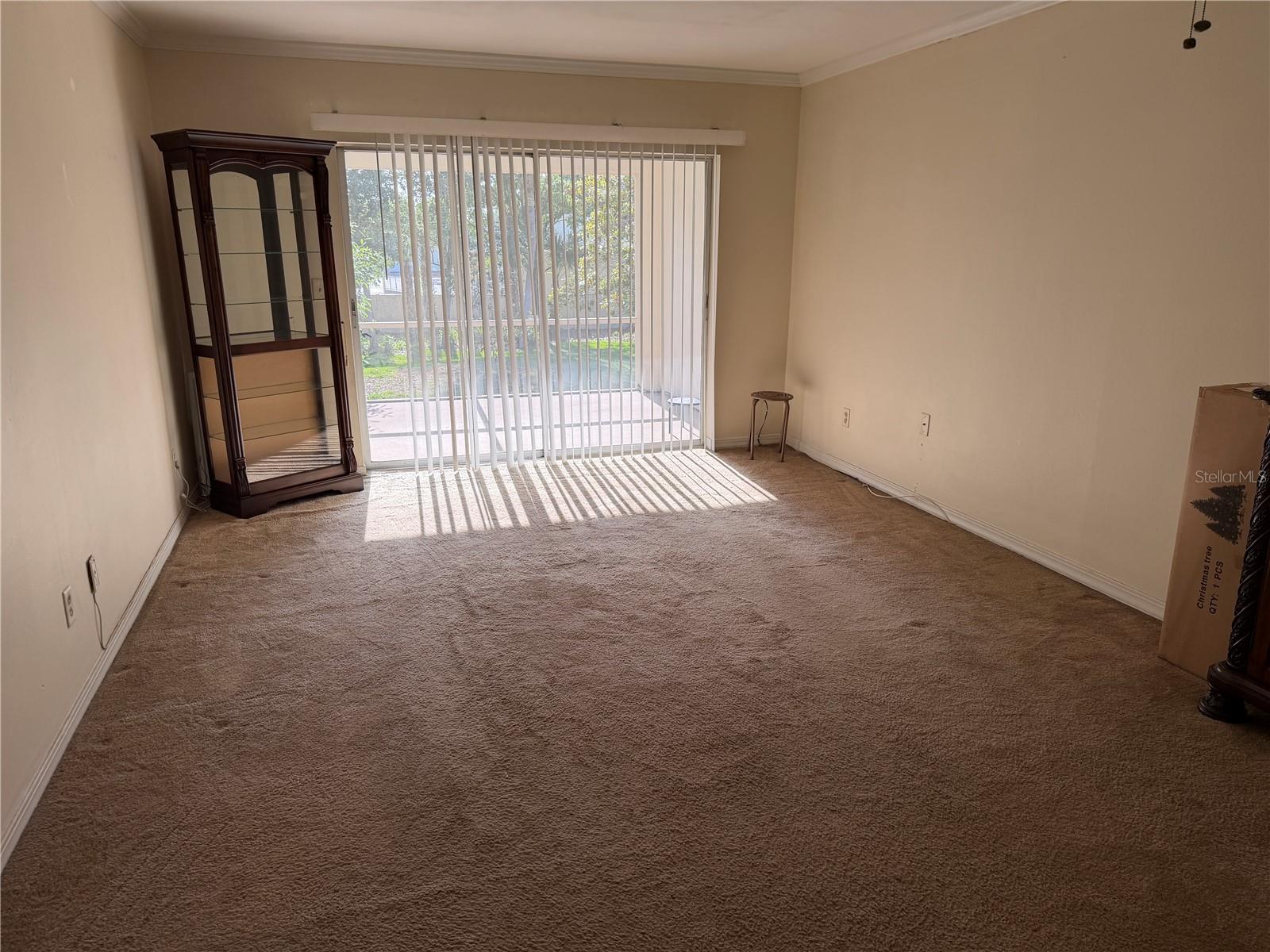 10335 CARROLLWOOD LN #116, TAMPA, FL — photo 4