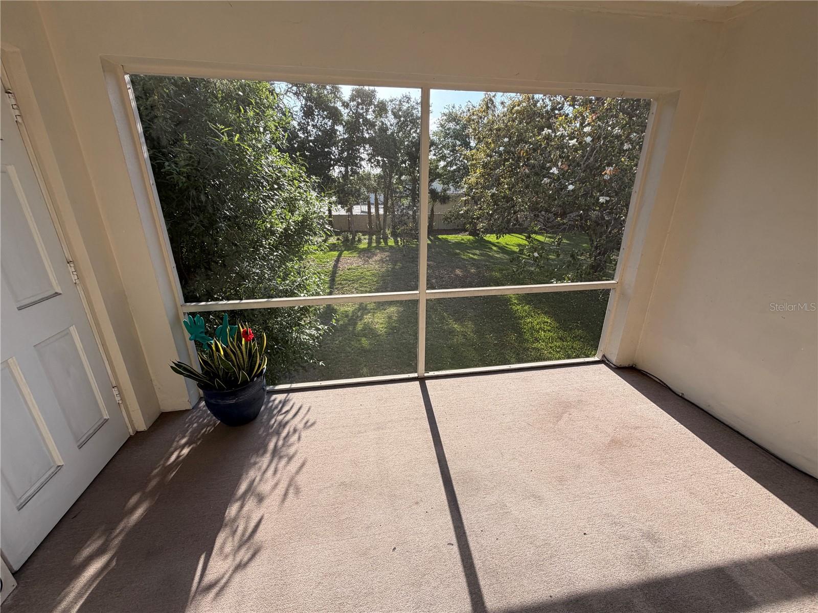10335 CARROLLWOOD LN #116, TAMPA, FL — photo 5
