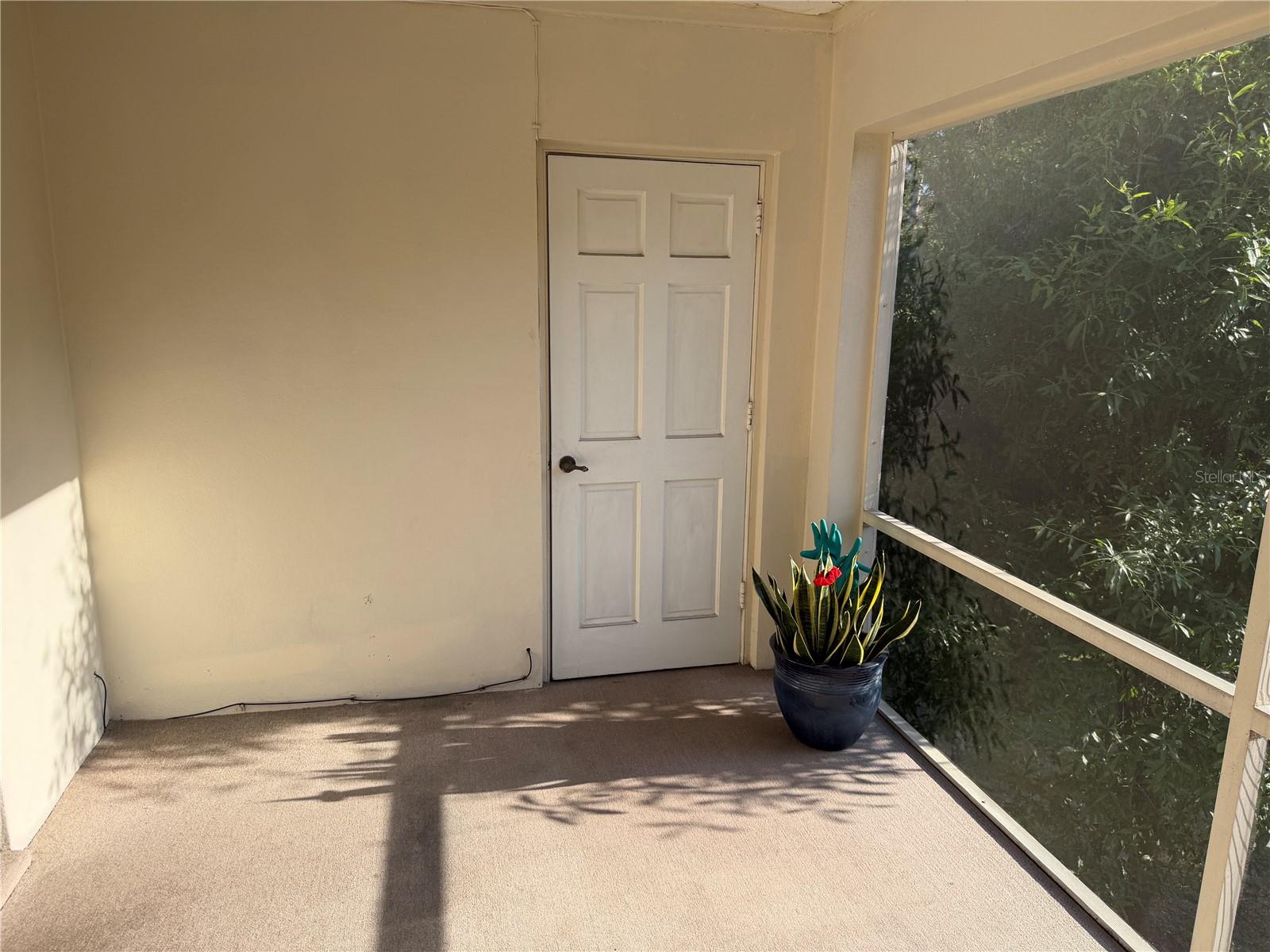 10335 CARROLLWOOD LN #116, TAMPA, FL — photo 6