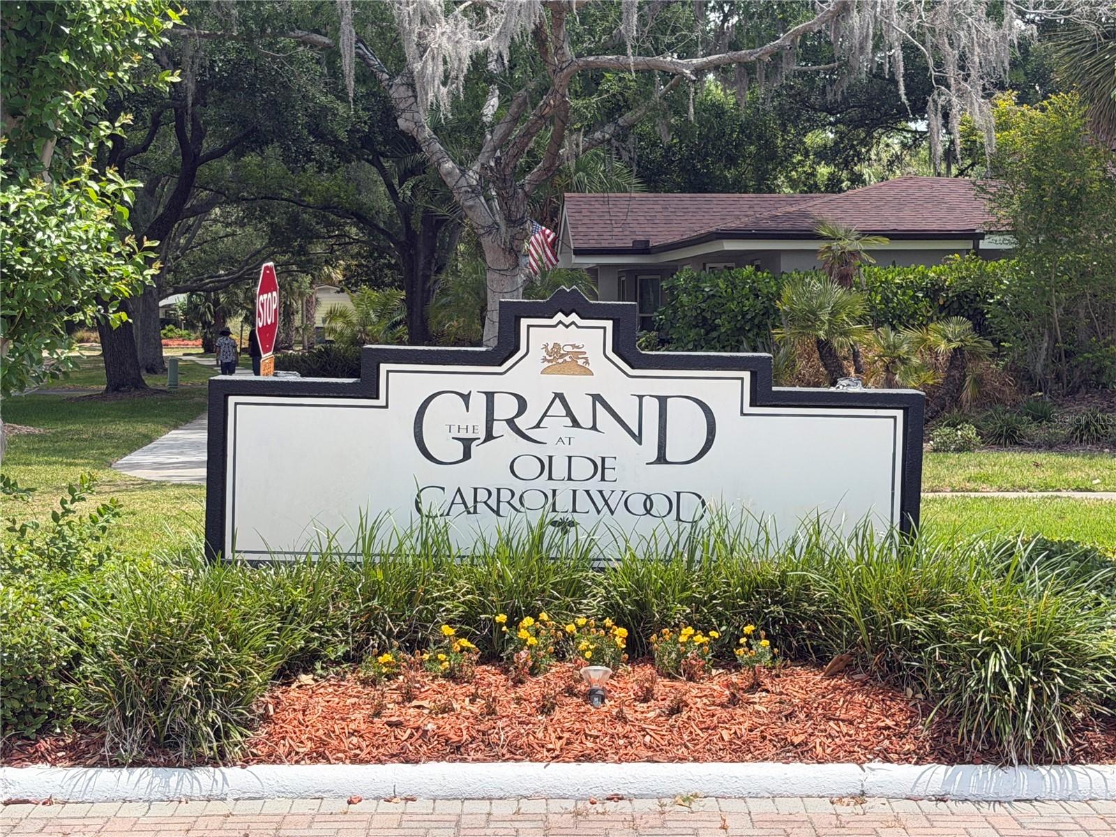 10335 CARROLLWOOD LN #116, TAMPA, FL — photo 8