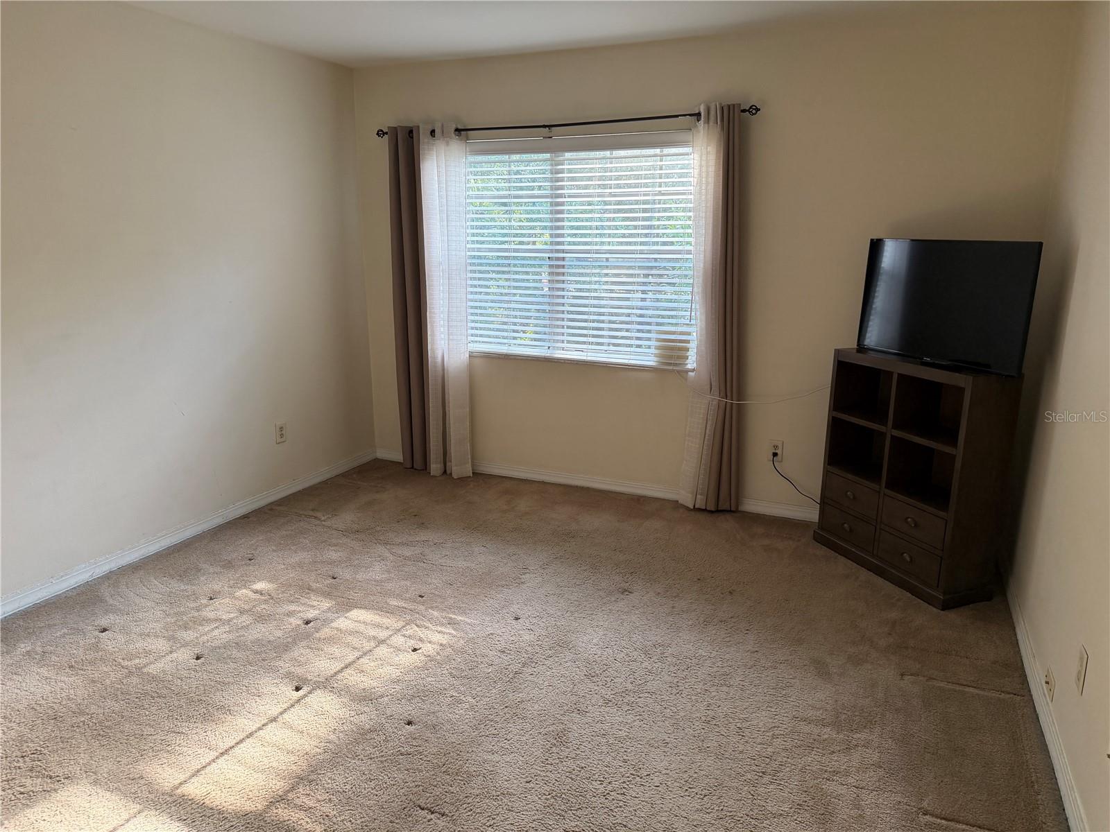 10335 CARROLLWOOD LN #116, TAMPA, FL — photo 13